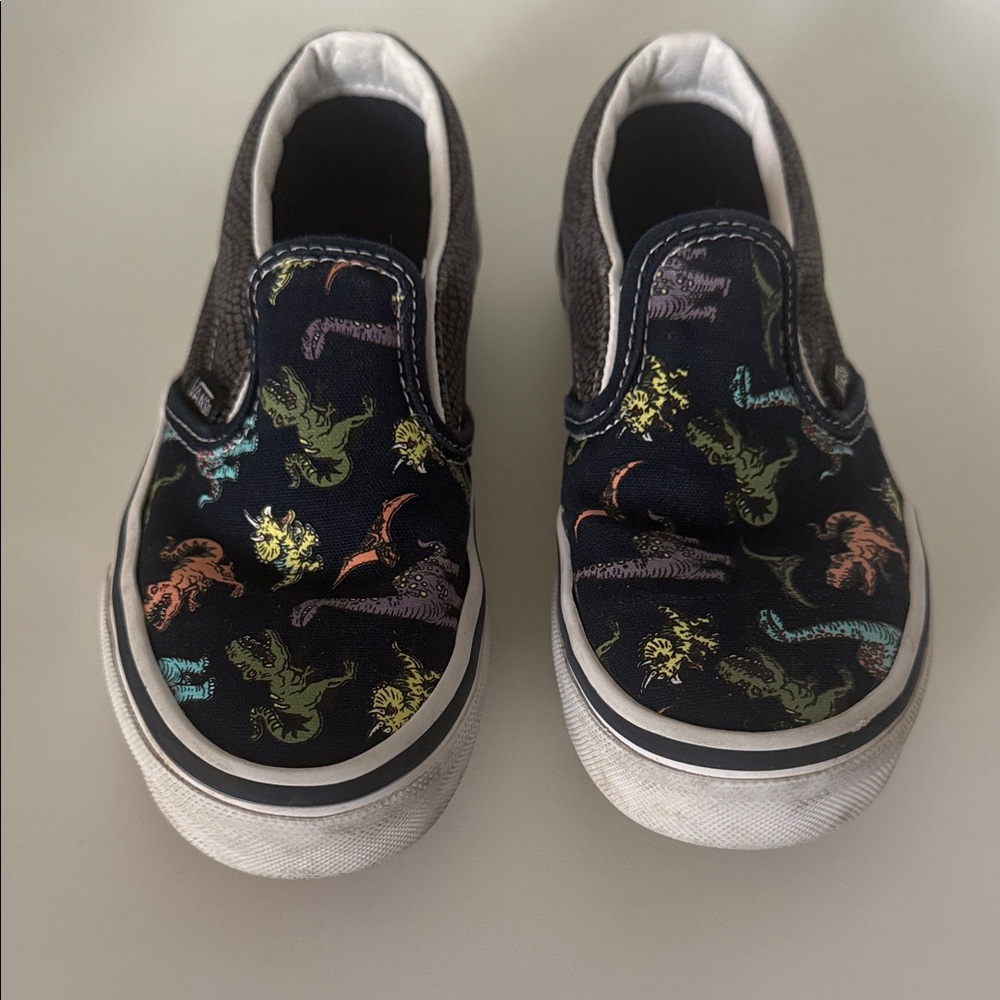 Kids Vans with Dinosaur Print sz 13.5